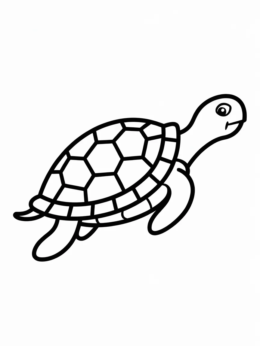 Turtle coloring pages - 1714 | ColoringPagesDesign